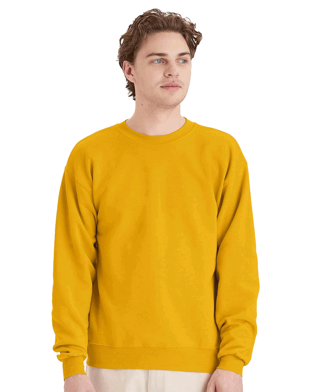 Hanes Golden mustard crewneck fleece sweatshirt on male model, blank unisex pullover ready for custom screen printing