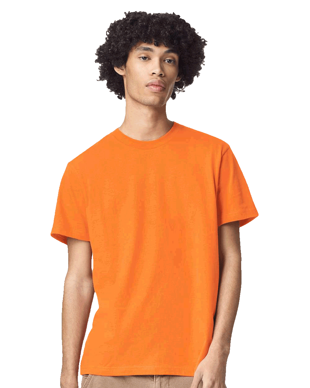 American Apparel - Fine Jersey Tee - 2001
