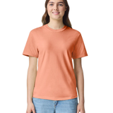 Comfort Colors 1717 heavyweight T-shirt in Terracotta, shown on a model from the front.