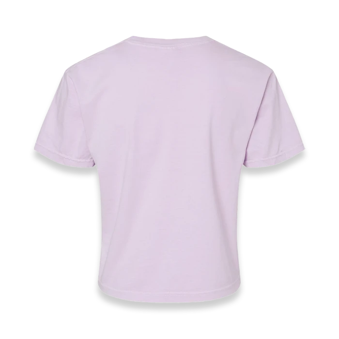 Back view of Comfort Colors 3023CL women's garment-dyed heavyweight boxy t-shirt in Orchid