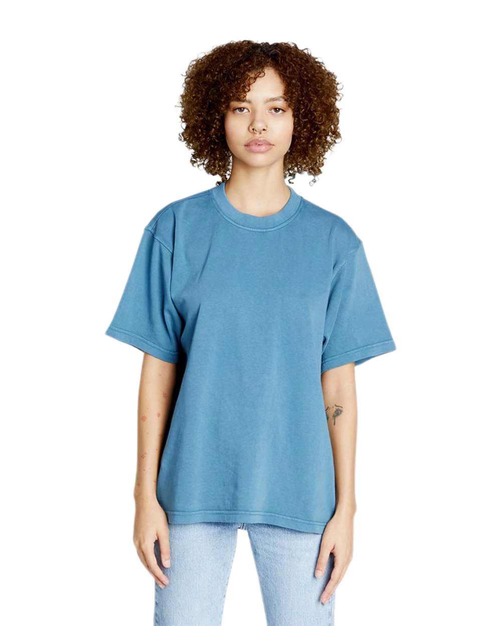 Lane Seven - Unisex Urban Heavyweight Tee - LS16005 in Pigment Pebble Blue — model front view