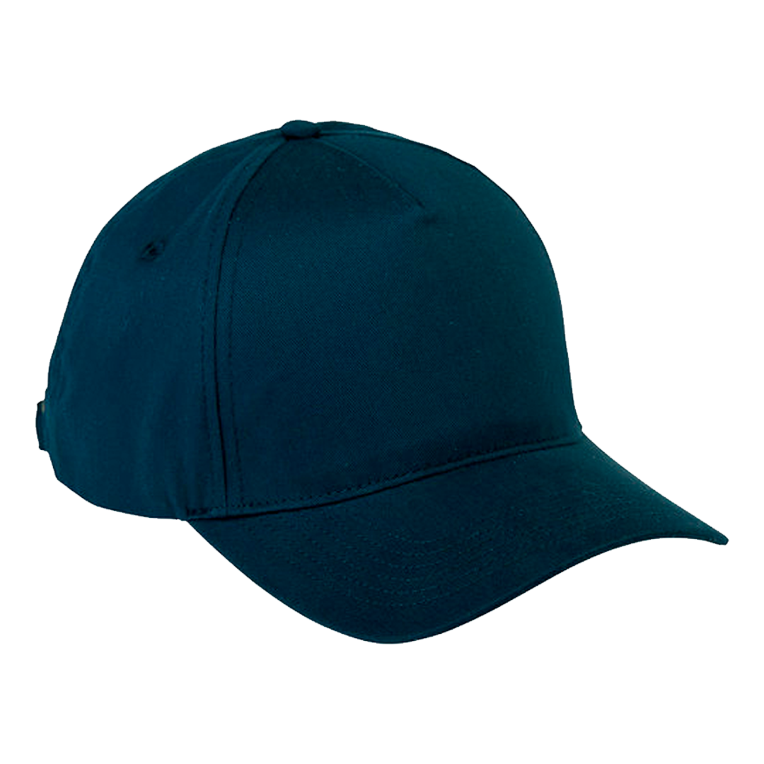 Big Accessories 5-Panel Brushed Twill Dad Cap